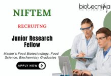 JRF Recruitment at NIFTEM MSc Food Technology Candidates Apply Now
