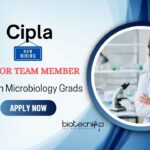 Job Opportunity at Cipla for Junior Team Member | MSc Microbiology Graduates Apply Now Job Opportunity at Cipla for Junior Team Member | MSc Microbiology Graduates Apply Now