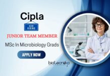 Job Opportunity at Cipla for Junior Team Member | MSc Microbiology Graduates Apply Now