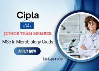 Job Opportunity at Cipla for Junior Team Member | MSc Microbiology Graduates Apply Now