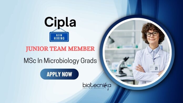 Job Opportunity at Cipla for Junior Team Member | MSc Microbiology Graduates Apply Now