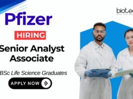 Recent BSc Life Science Jobs at Pfizer | Apply Now for Report Analyst Senior Associate Position