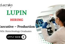 MSc Biotechnology Jobs at Lupin | Apply Now for Executive – Production Role