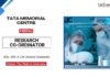MSc Job at TMC Apply Now for the Research Co-ordinator Role