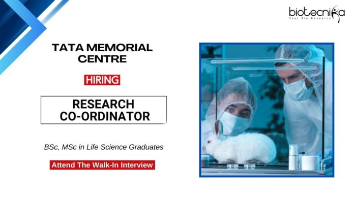 MSc Job at TMC Apply Now for the Research Co-ordinator Role