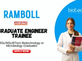 Microbiology Jobs at Ramboll BScMSc Graduates Apply Now for the Graduate Engineer Trainee Position