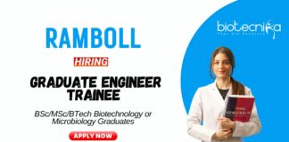 Microbiology Jobs at Ramboll BScMSc Graduates Apply Now for the Graduate Engineer Trainee Position