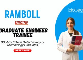 Microbiology Jobs at Ramboll BScMSc Graduates Apply Now for the Graduate Engineer Trainee Position