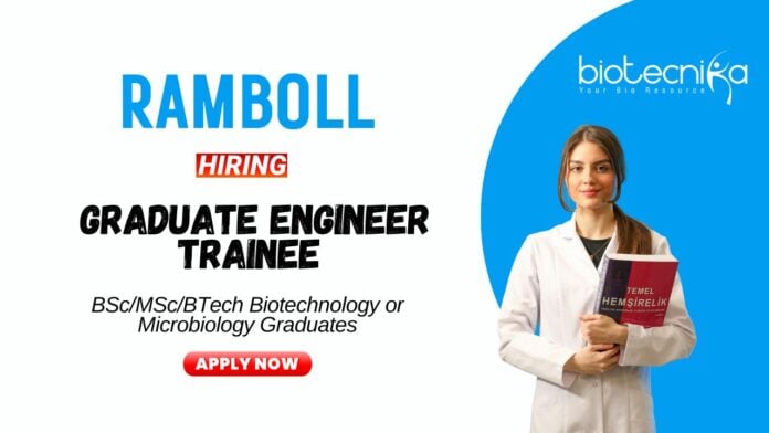 Microbiology Jobs at Ramboll BScMSc Graduates Apply Now for the Graduate Engineer Trainee Position