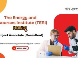 Master’s Microbiology, Biotechnology, Life Sciences The Energy and Resources Institute (TERI) Project Associate (Consultant)