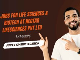 BSc & MSc Biotechnology Job Vacancies
