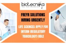 Freshers Life Sciences Internship at Freyr Solutions