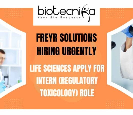 Freshers Life Sciences Internship at Freyr Solutions