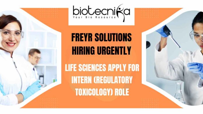 Freshers Life Sciences Internship at Freyr Solutions