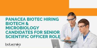 MSc Biotech & Microbiology Job Vacancies