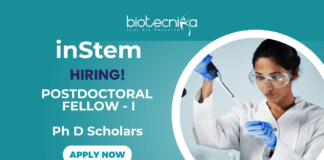 PhD Jobs For Postdoctoral Fellow Role | Apply Now