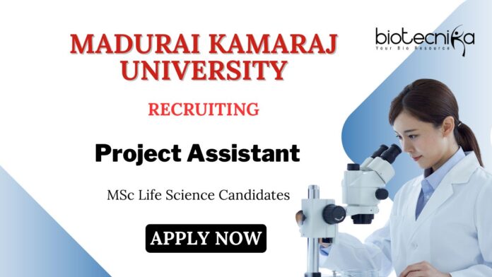 Project Assistant Jobs at Madurai Kamaraj University MSc Life Science Candidates Apply Now Project Assistant Jobs at Madurai Kamaraj University | MSc Life Science Candidates Apply Now