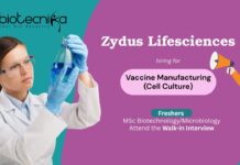 Freshers MSc Biotechnology/Microbiology Attend the Walk-in Interview Zydus Lifesciences Vaccine Manufacturing (Cell Culture)