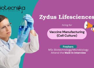 Freshers MSc Biotechnology/Microbiology Attend the Walk-in Interview Zydus Lifesciences Vaccine Manufacturing (Cell Culture)