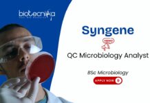 QC Microbiology Analyst Job at Syngene. BSc Microbiology Graduates, Apply Now! Jobb in Bangalore. Career in Quality Control.
