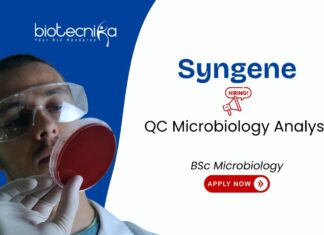 QC Microbiology Analyst Job at Syngene. BSc Microbiology Graduates, Apply Now! Jobb in Bangalore. Career in Quality Control.