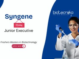 Freshers Junior Executive Job at Syngene International. Careers in biopharma manufacturing. Biotechnology Postgraduates, Apply Now