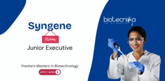 Freshers Junior Executive Job at Syngene International. Careers in biopharma manufacturing. Biotechnology Postgraduates, Apply Now