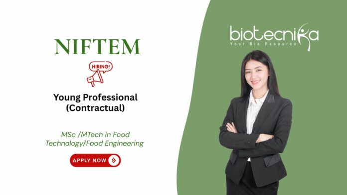 MSc /MTech in Food Technology/Food Engineering Young Professional (Contractual) NIFTEM
