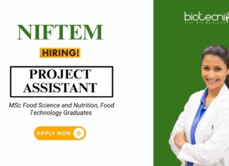 Research Job at NIFTEM MSc Food Science Graduates Apply Now for the Project Assistant Position