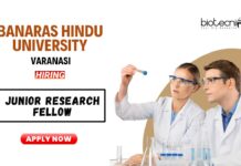 MSc Plant Science Job Openings at BHU