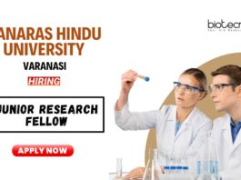 MSc Plant Science Job Openings at BHU
