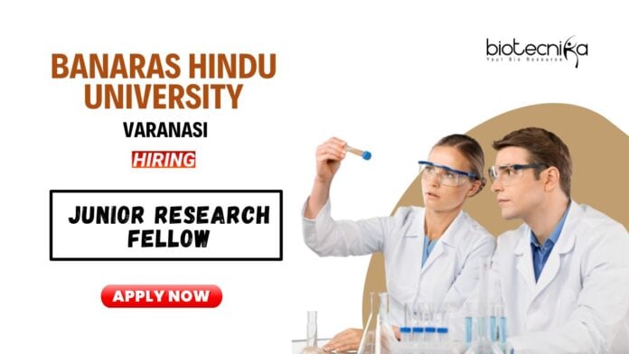 MSc Plant Science Job Openings at BHU