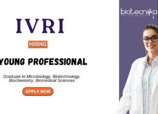 Research Jobs at ICAR-IVRI Biotechnology Graduates Attend the Walk-In Interview (1)