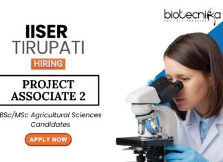 Research Jobs at IISER Tirupati Apply Now for the Project Associate-II Position