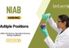 Research Jobs at NIAB BSc MSc Apply Now for Multiple Positions