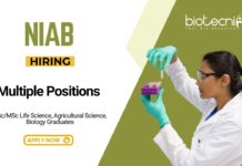 Research Jobs at NIAB BSc MSc Apply Now for Multiple Positions