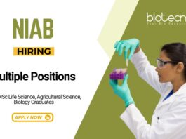 Research Jobs at NIAB BSc MSc Apply Now for Multiple Positions