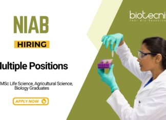 Research Jobs at NIAB BSc MSc Apply Now for Multiple Positions