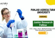 Research Jobs at Punjab Agricultural University Biotech Graduates Apply Now for the JRF Position (1)