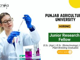 Research Jobs at Punjab Agricultural University Biotech Graduates Apply Now for the JRF Position (1)