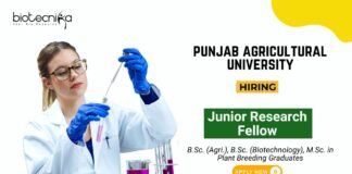 Research Jobs at Punjab Agricultural University Biotech Graduates Apply Now for the JRF Position (1)