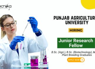 Research Jobs at Punjab Agricultural University Biotech Graduates Apply Now for the JRF Position (1)