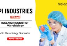 Research Scientist Job at PI Industries MSc Graduates Apply Now 