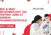 BSc & MSc Microbiology Jobs Latest in QC Testing at Amneal