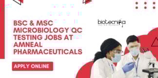 BSc & MSc Microbiology Jobs Latest in QC Testing at Amneal