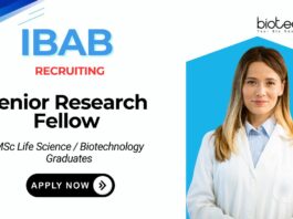 Senior Research Fellow Job at IBAB MSc Life Science Candidates Apply Now 