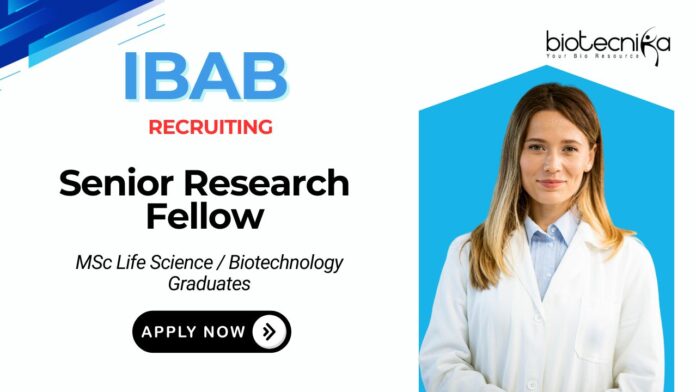 Senior Research Fellow Job at IBAB MSc Life Science Candidates Apply Now 