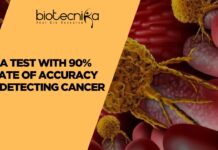 Early Colorectal Cancer Detection Made Possible Using AI