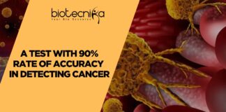 Early Colorectal Cancer Detection Made Possible Using AI