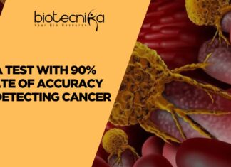 Early Colorectal Cancer Detection Made Possible Using AI
